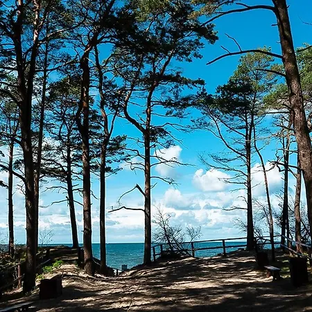 Award-winning A-frame With Sauna By Sea & Nature *