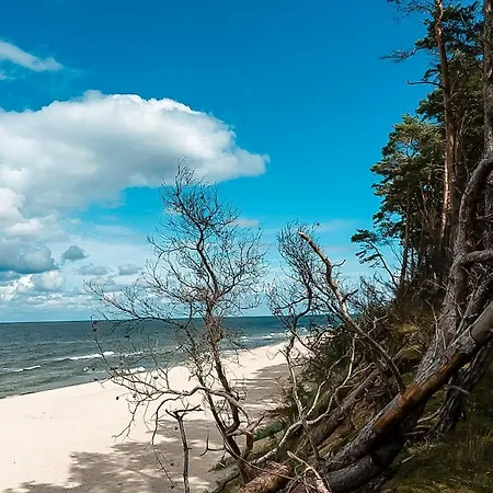 Award-winning A-frame With Sauna By Sea & Nature *
