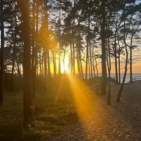 Award-winning A-frame With Sauna By Sea & Nature